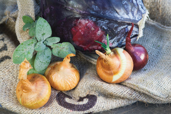 Most vegetables can be preserved using a range of methods.